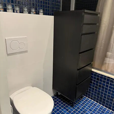 Elegant Roosevelt باريس